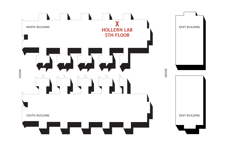Hollern Lab Map